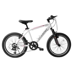 A20215 Kids Bicycle 20 Inch Kids Montain Bike Gear Shimano 7 Speed Bike for Boys and Girls