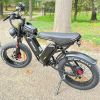 Dual Motor E-bike 2000W 52V 40Ah Fat Tire E-bike