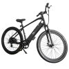 Trustmade Ebike