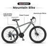 S24102 24 Inch Mountain Bike Boys Girls, Steel Frame, Shimano 21 Speed Mountain Bicycle with Daul Disc Brakes and Front Suspension MTB