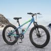 S24109 Elecony 24 Inch Fat Tire Bike Adult/Youth Full Shimano 7 Speeds Mountain Bike, Dual Disc Brake, High-Carbon Steel Frame, Front Suspension